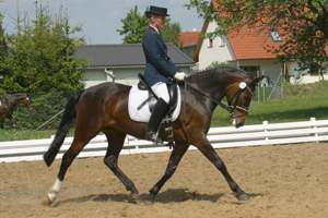 Kristin Romanowski in ihrer aktiven Zeit als Dressurreiterin mit ihrer in der Zucht erfolgreichen Stute Top Ten. Foto: Wego